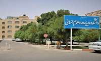 شعر و ادب فارسی؛ قدرتی فرهنگی و تمدنی برای انتقال مفاهیم انسانی